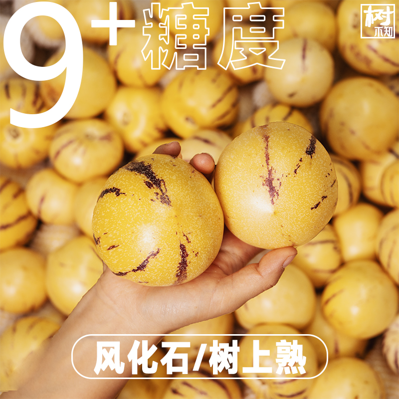 【9个+糖】正宗云南石林人参果人生圆果黄肉产地直发应当季水果