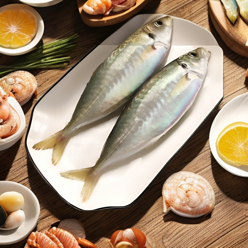 福建养殖巴浪鱼刺身小竹荚鱼盐焗盐蒸海鲜生鲜特产