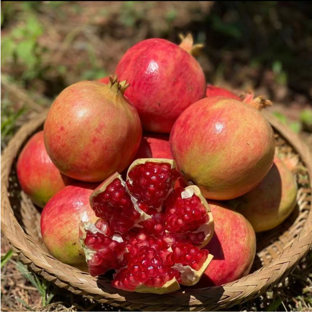 【黄琴专属】四川会理突尼斯软籽石榴 5斤装 现摘现发 坏果包赔