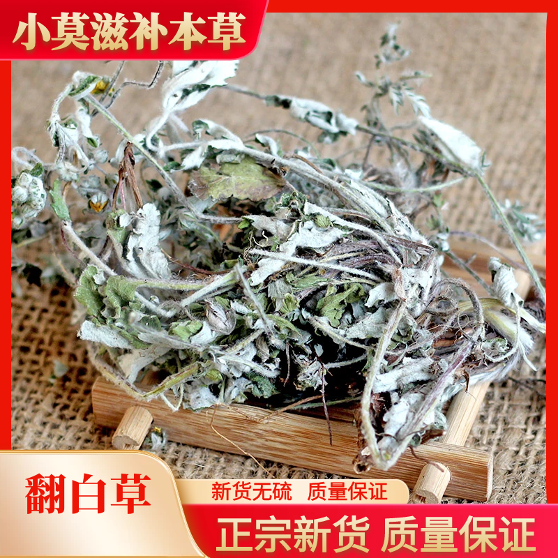 精选新翻白草野生翻白草正品翻白草250g-500g包邮煲水精选非葛根