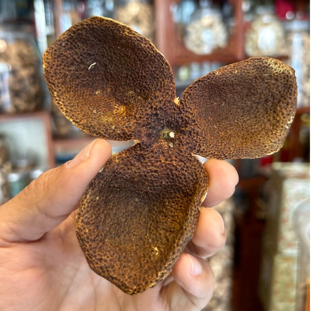 正宗广东特产新会江门老陈皮2019年红皮驳枝