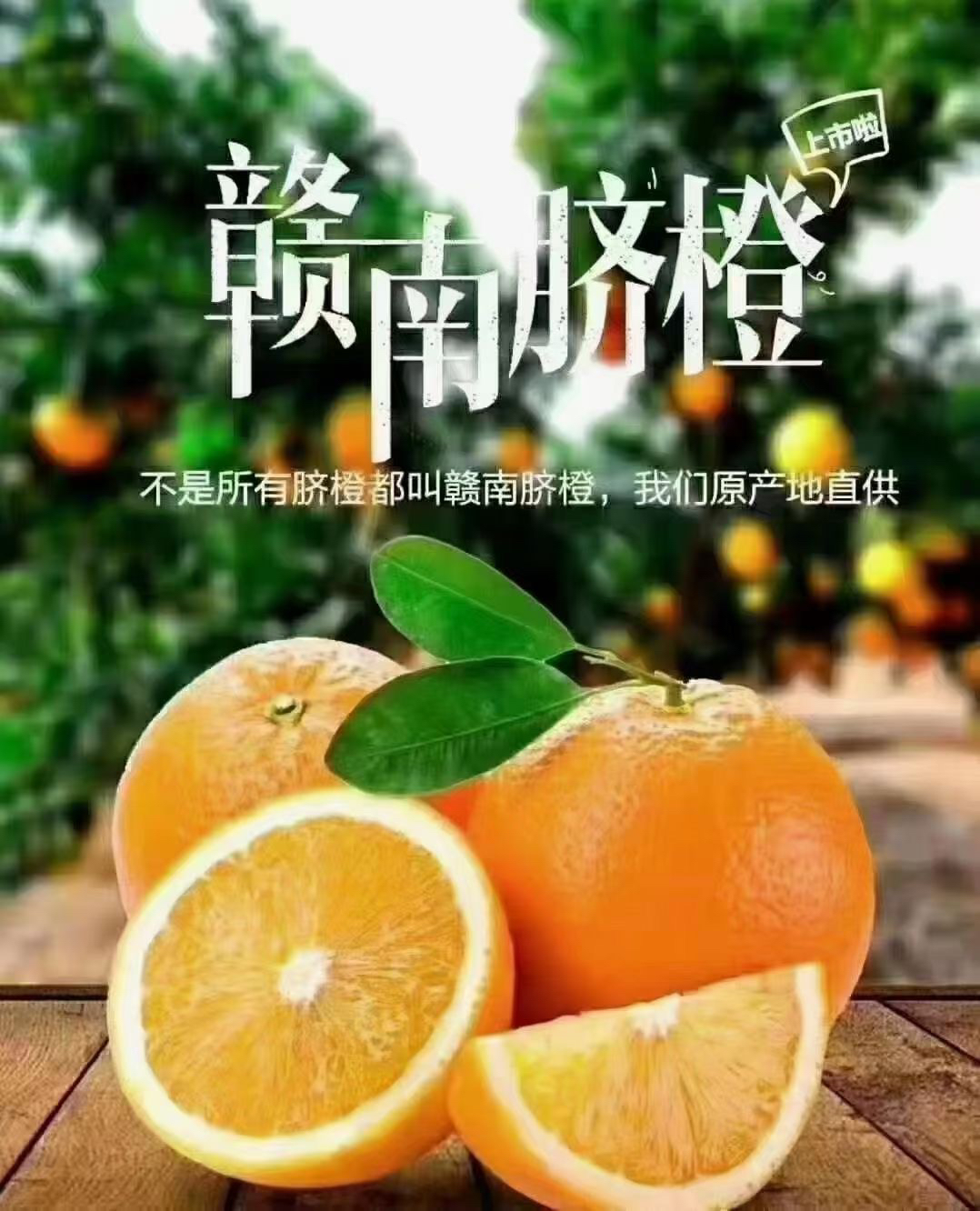 新鲜橙子江西赣南脐橙孕妇小孩当季好吃水果原产地直供10斤包邮