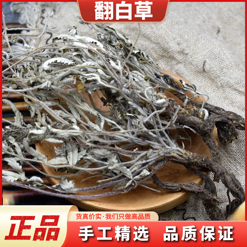 翻白草野生整颗翻白草正品干货新鲜番白草带根250g/500g非益母草