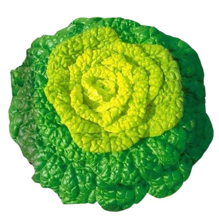 黄心乌塌菜种子黄心菊花菜皱叶小白菜籽耐低温农家蔬菜种植春秋籽