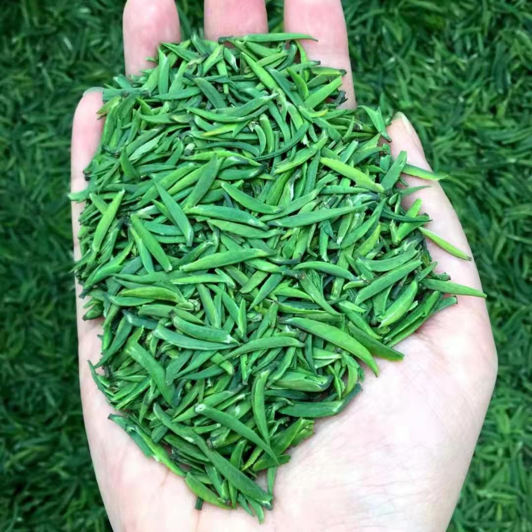 茶叶雀舌#小扁芯#黔湄601茶树#袋装/罐装#多规格