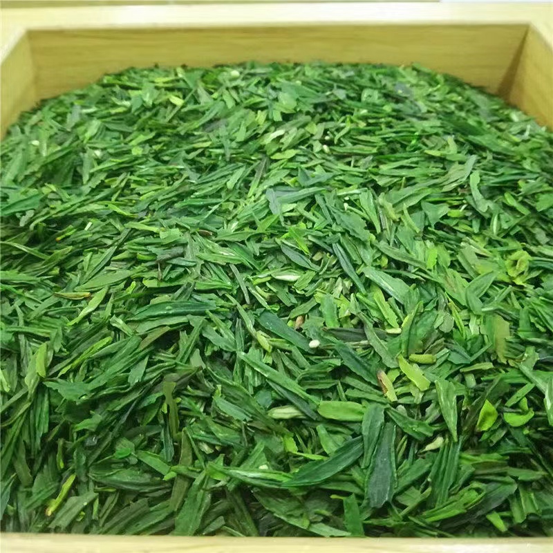 春茶绿茶雀舌碎片#雀舌茶片#碎片#口粮茶贵州茶叶