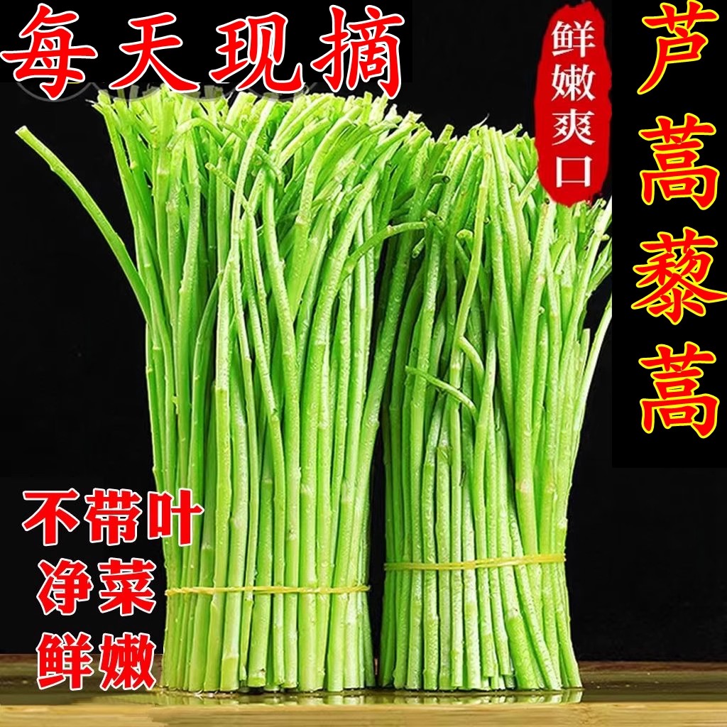 藜蒿新鲜蔬菜苏北特产芦蒿野菜黎耗篱蒿泥蒿农家现摘应季蔬菜