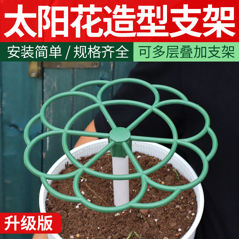 太阳花造型支架太阳花专用支撑花架种太阳花糖支架搭建固定器架子