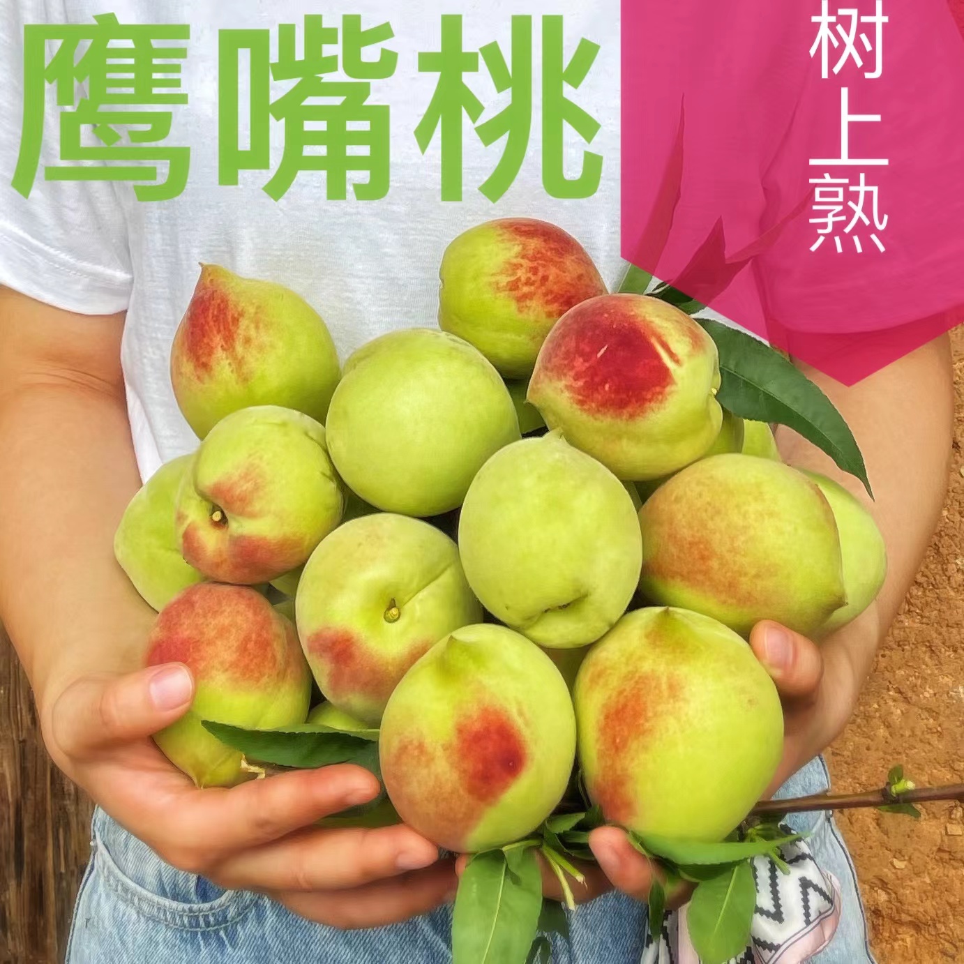 正宗广东河源连平鹰嘴桃脆甜新鲜桃子包邮