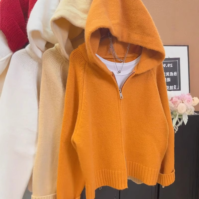 韩系慵懒风双拉链针织开衫上衣女2024秋冬季宽松连帽长袖毛衣外套