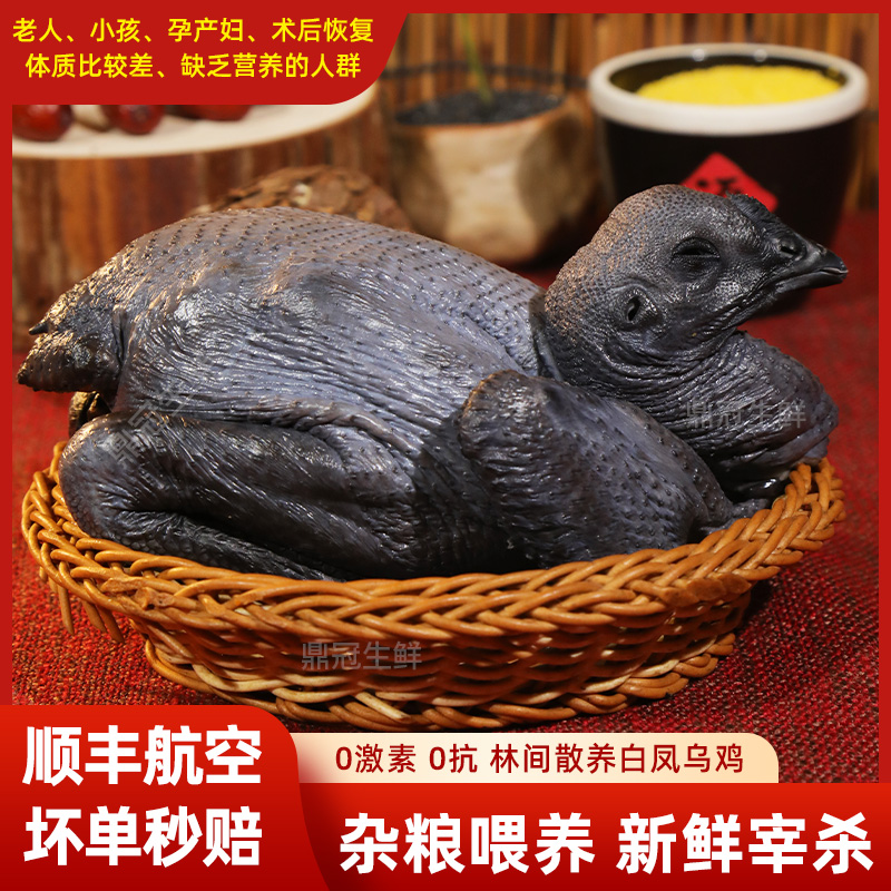 【2只送2只共4只净重7斤】源头农场散养白凤乌鸡乌当天现杀保鲜到家