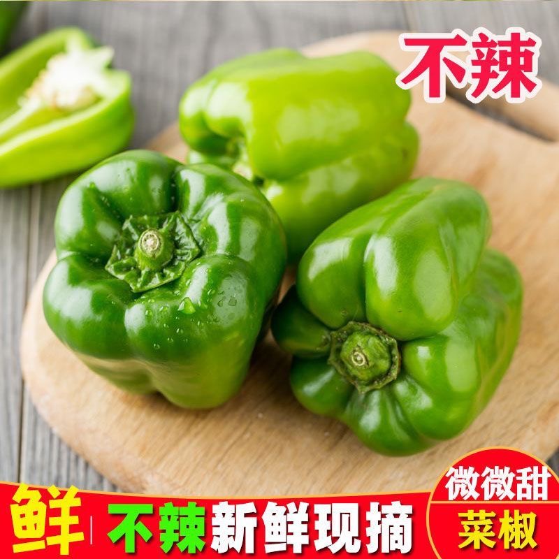 农家妈妈现摘现发3斤新鲜圆青椒菜椒辣椒薄皮青皮灯笼椒当季不辣