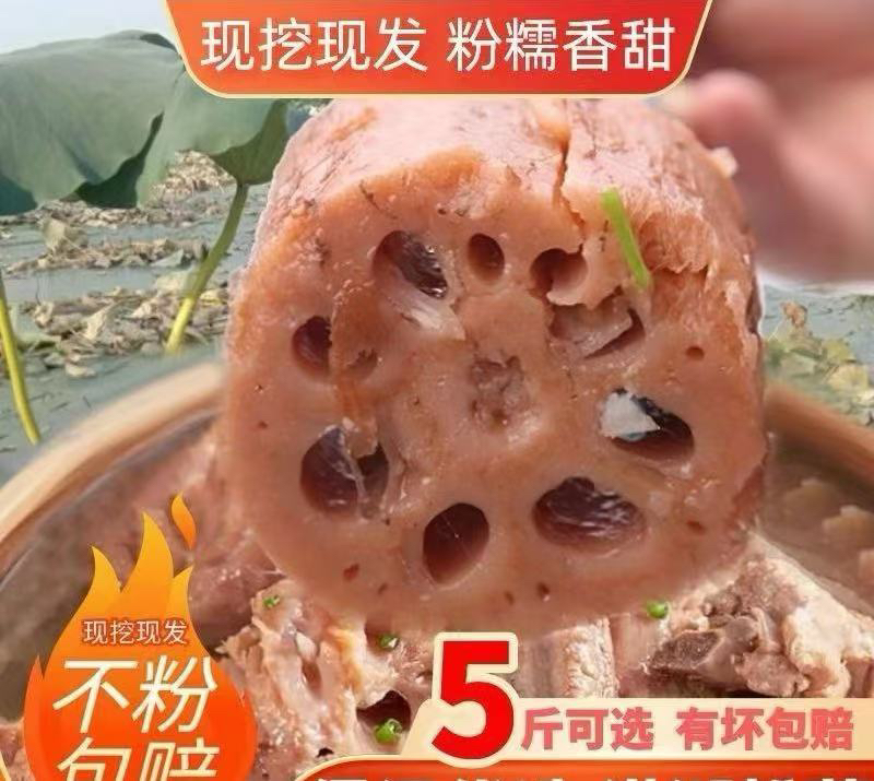 【不粉包赔】仙桃沔城9孔粉藕，粉糯香甜，藕汤浓郁，藕香味十足3/5斤