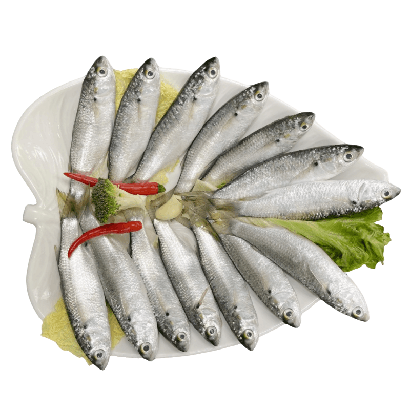 5斤新鲜冰鲜虫鱼白鱼蚬鱼，顺丰包邮（10条~12条1斤）