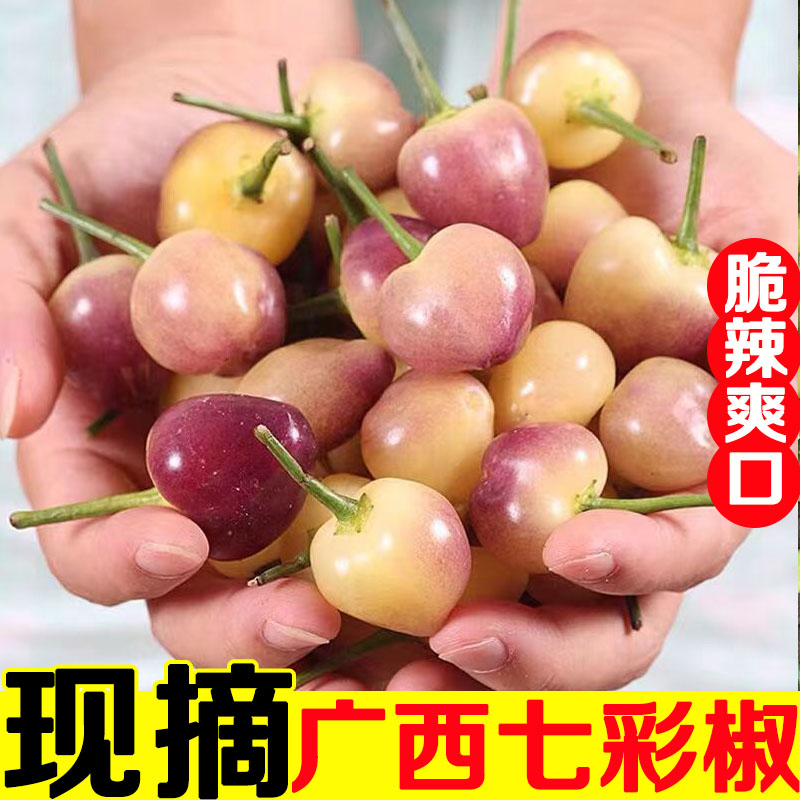广西新鲜七彩辣椒泡椒特产小米辣椒五彩椒个大果灯笼农家现摘蔬菜