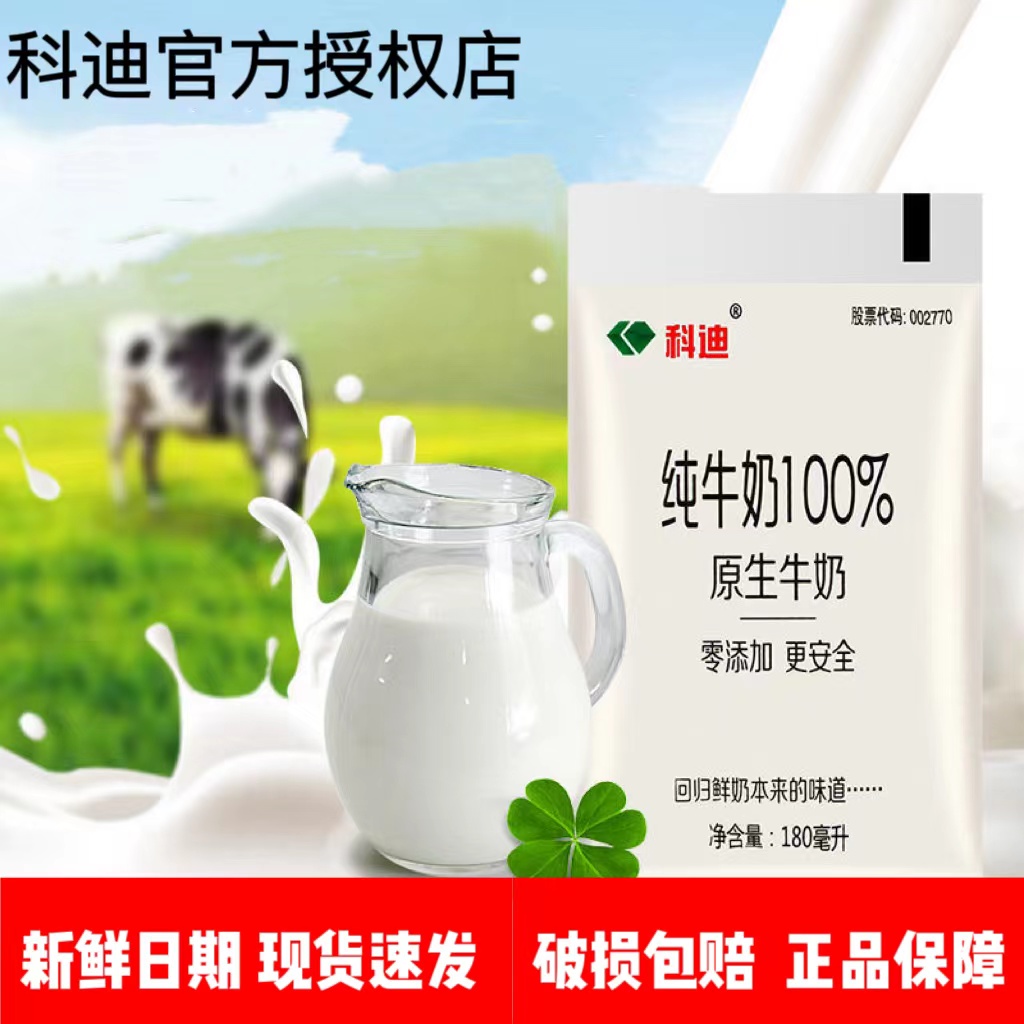 【新日期】科迪纯牛奶袋装网红小白袋整箱学生优质早餐奶180ml*12袋