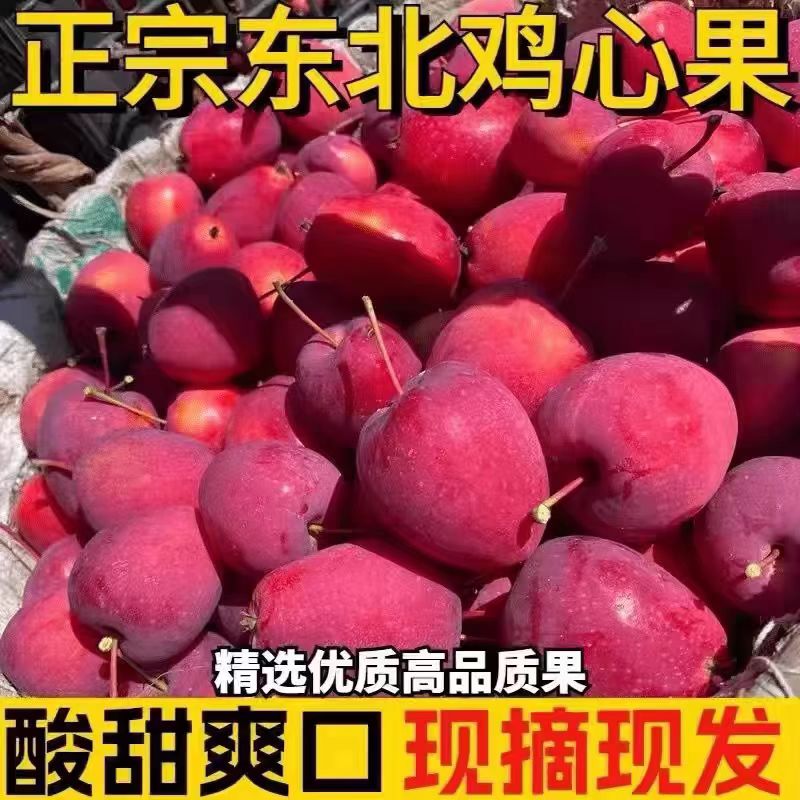 【邮政助农】东北酸甜脆口鸡心果吉林特产小苹果果园现摘直发包邮