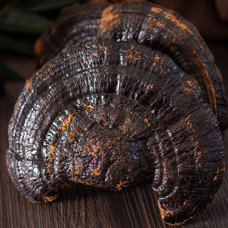 野生黑灵芝干货天然林芝干灵芝泡酒煲汤正品