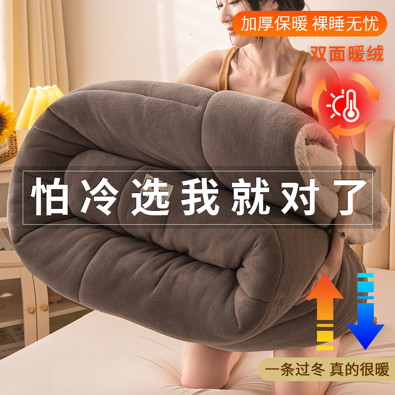 加厚加绒保暖被芯牛奶绒双面冬被加绒棉被褥学生宿舍被子秋冬款