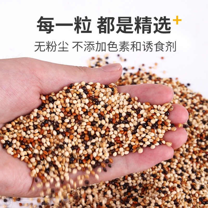 鹦鹉鸟粮饲料玄凤牡丹等中小型鸟食带壳黄谷子五色黍子混合专用粮