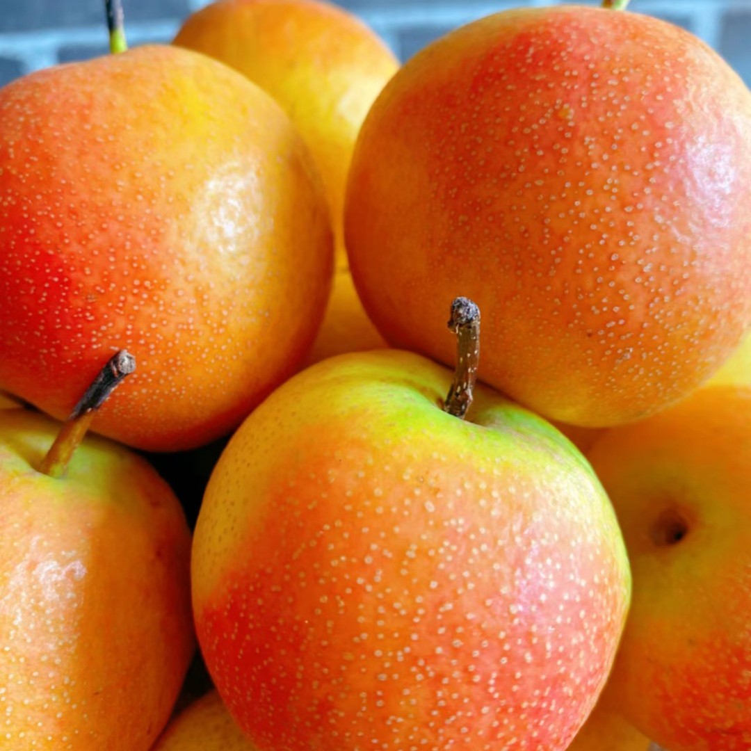 【东北南果梨】辽宁特产新鲜南果梨鞍山南果梨阳面果细腻多汁2/5斤