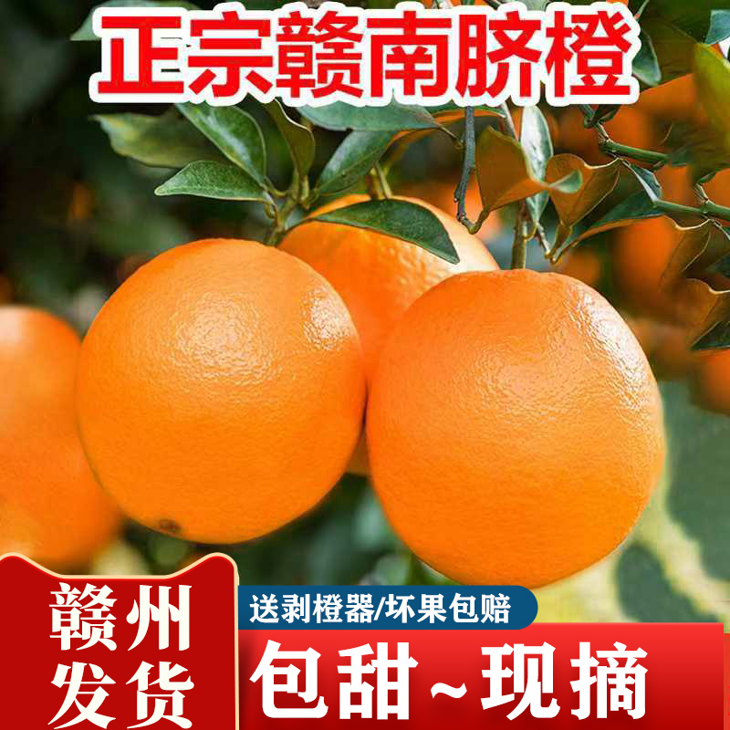 正宗赣南脐橙大果香甜橙子新鲜应季水果赣州脐橙现摘现发产地包邮