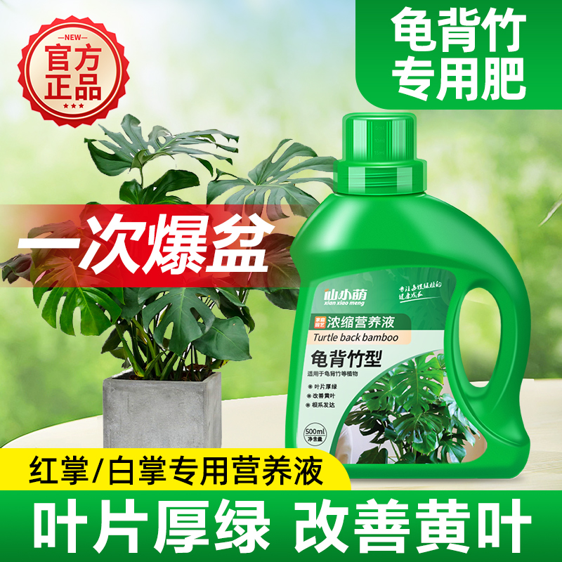 龟背竹专用肥龟背竹肥料营养液龟背竹盆栽专用营养土土壤土培水培
