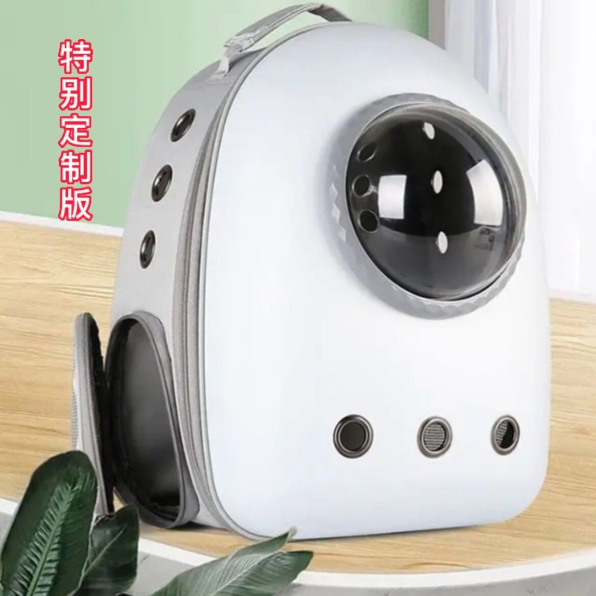 个性化豪华猫包防应激侧开太空舱大容量狗狗猫咪手提双肩宠物背包