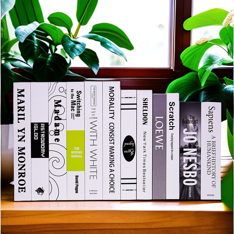 北欧轻奢假书摆件装饰仿真书客厅家居装饰品拍照道具书壳盒子批发