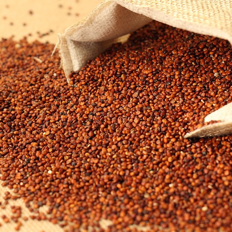 青海高原红藜麦 500g