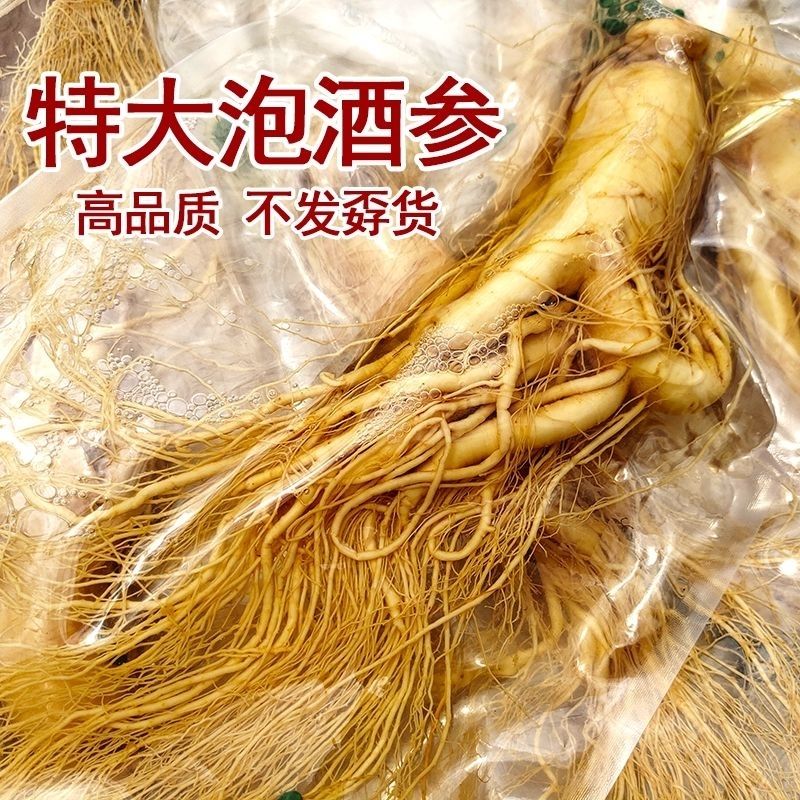 长白山人参保鲜参送礼泡酒专用人参毛重300-500克老参滋补养生