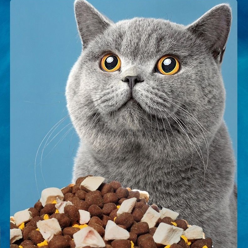 冻干增肥全价鲜肉猫粮颗粒营养渐层大袋幼猫通用猫粮全猫幼猫通用