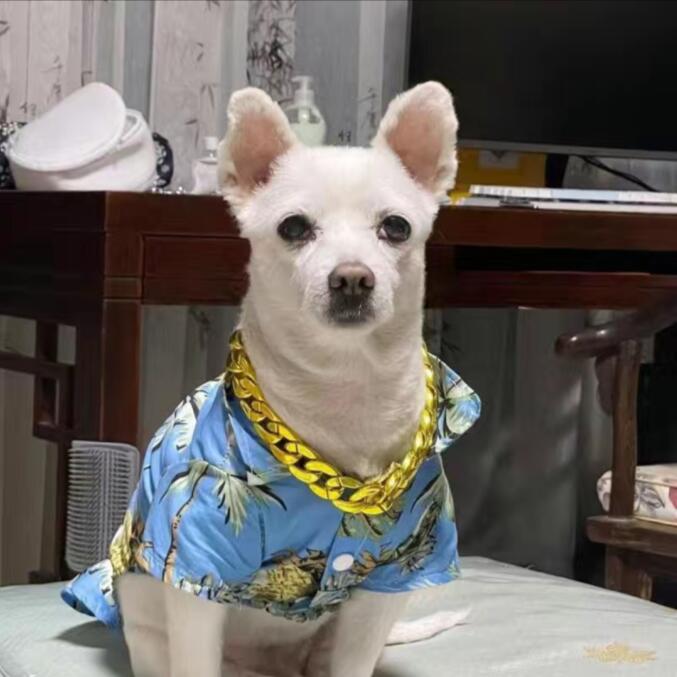 宠物金项链狗狗猫咪项链饰品配饰挂件大金链子塑料仿真通用中号