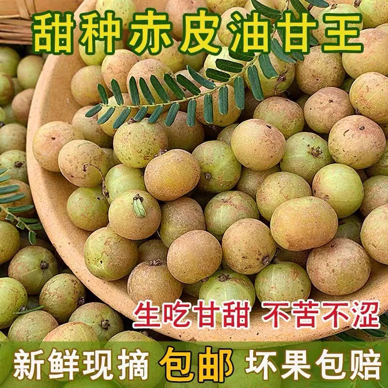 潮汕金灶大果赤皮油柑粗皮油柑酸涩度低回甘好煲汤榨汁  一斤装