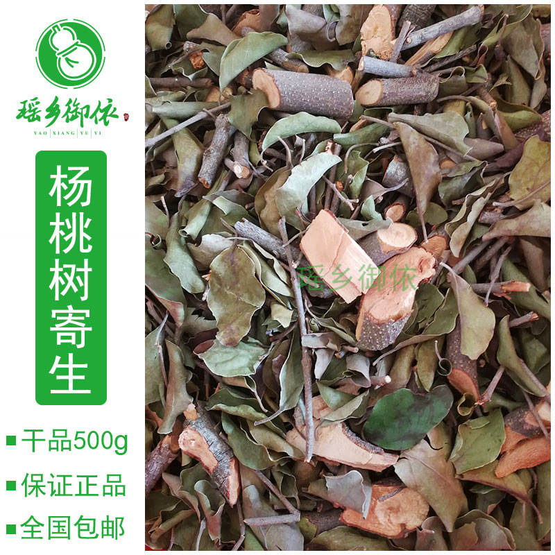 酸杨桃树寄生干品500g包邮杨桃树寄生五敛子寄生瑶山特产绿植苗
