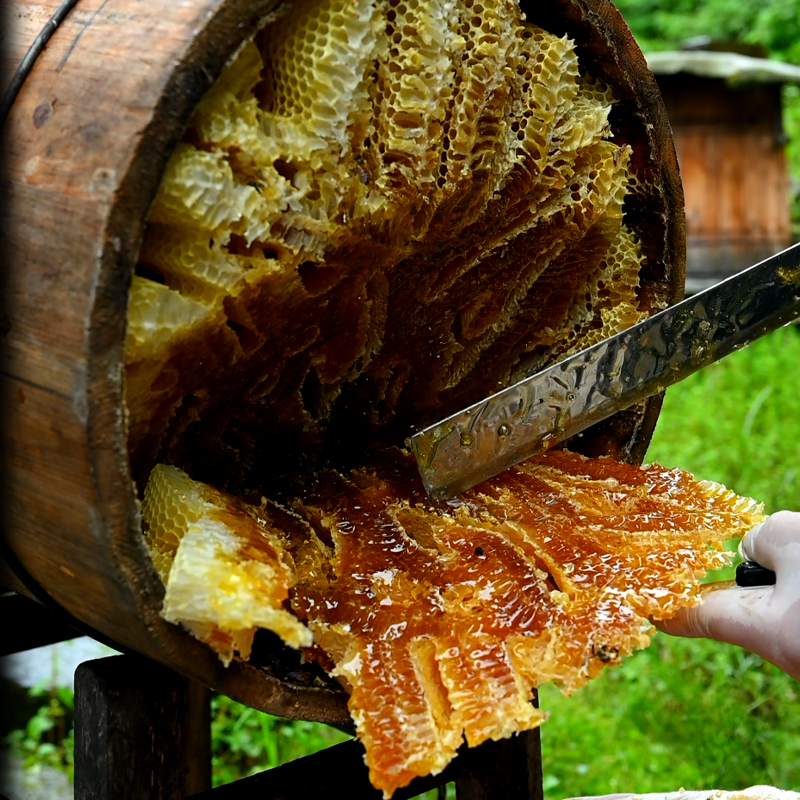 莉琴助农湘西深山土蜂蜜3斤装