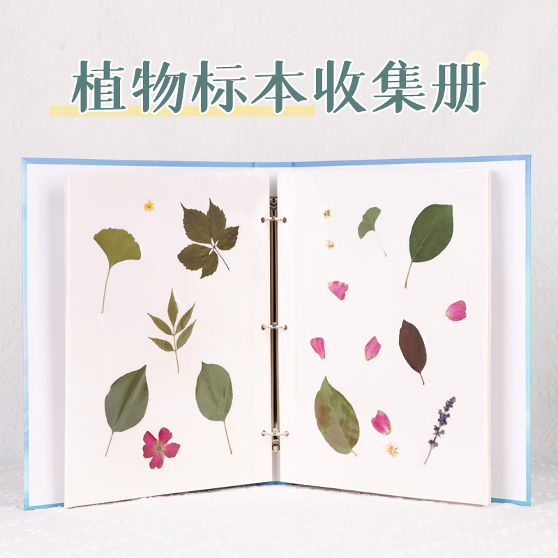 干花树叶标本收纳册活页装自制覆膜相册叶子作品展示整理册记录册
