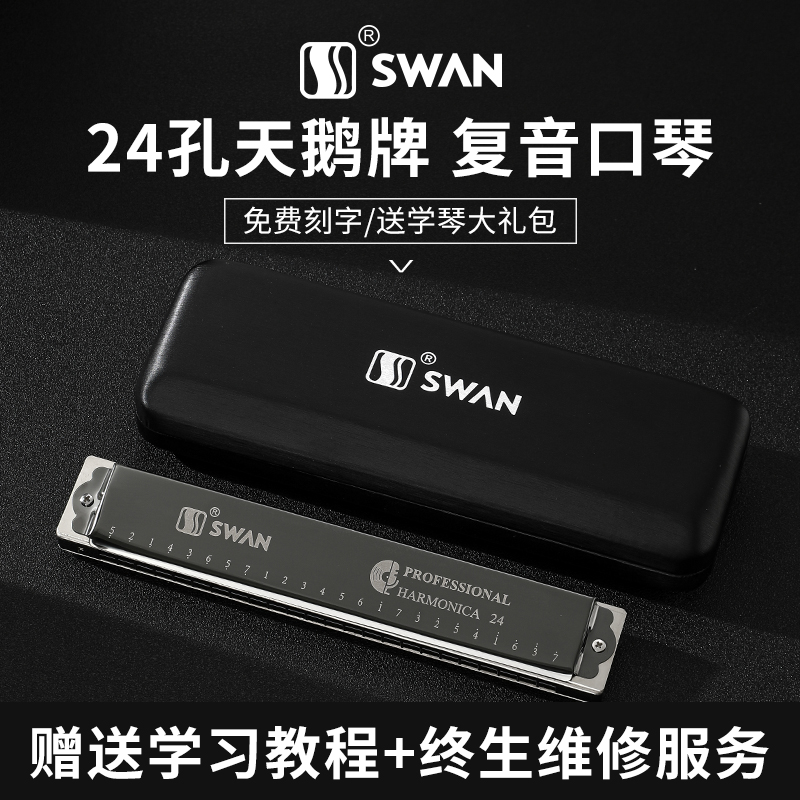 天鹅口琴24孔复音C调A/B/D/E/F/G调口琴初学者儿童成人演奏口琴