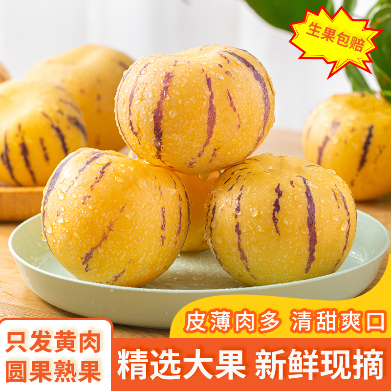 【2】云南人参果新鲜采摘当季甄选爽口香甜自然成熟皮薄新鲜水果