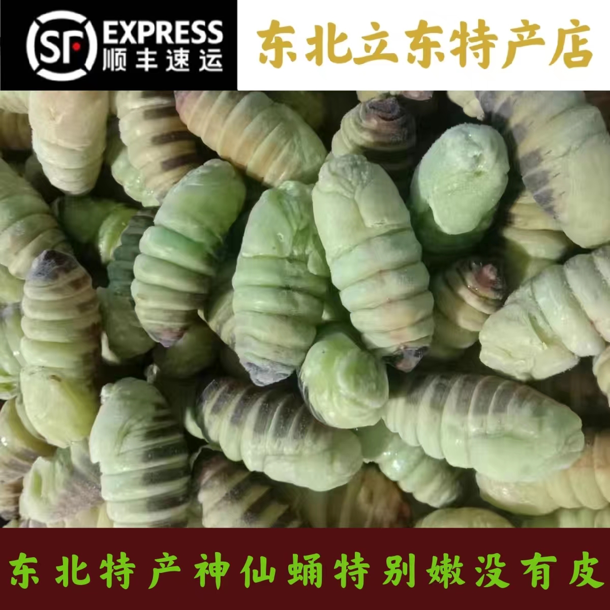 东北速冻嫩茧蛹神仙蛹绿色茧蛹薄皮冷冻神仙一斤二斤三斤四斤