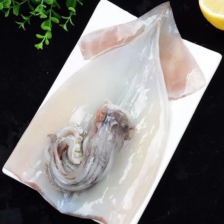 连云港海捕大鱿鱼去皮去内脏鲜活速冻发货烧烤家常做法好吃粱尚丰