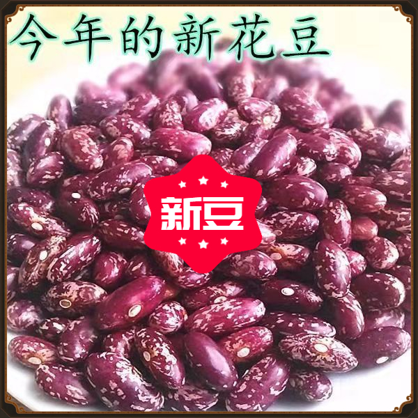 今年新紫花芸豆花芸豆5特价东北芸豆红花红芸豆新货手工营养饱满