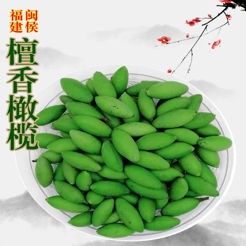 1斤净重闽侯特产檀香新鲜采摘大果橄榄甘甜饱满煲汤生吃泡茶美味