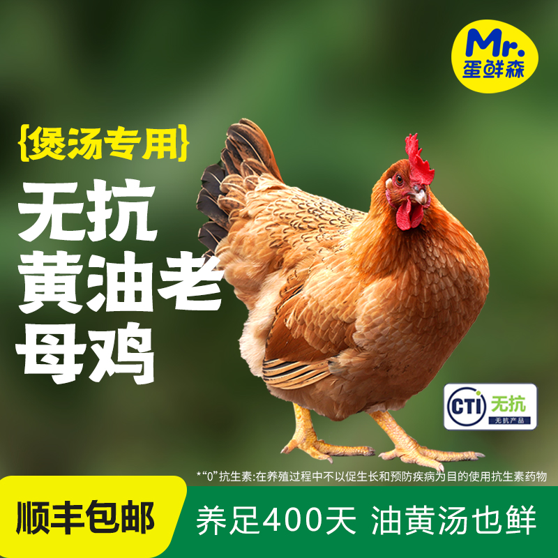 蛋鲜森煲汤营养无抗黄油老母鸡两只装（每只净重2斤以上)
