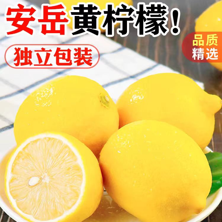 安岳黄柠檬鲜果8个 酸爽多汁采摘皮薄酸甜冲泡