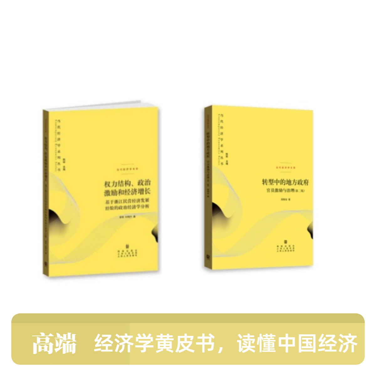 生意经书籍 经济学黄皮书：包涵转型中的地方政府 权力结构等