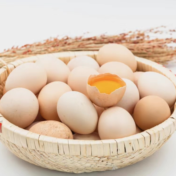 正宗新鲜散养农户土鸡蛋（粉壳）