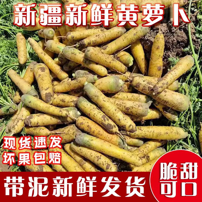 新疆新鲜黄胡萝卜5斤当季蔬菜农家现挖手抓饭炖炒凉拌腌制