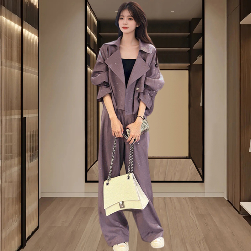 2025年春秋季新款显瘦气质套装时尚休闲宽松上衣阔腿裤减龄两件套