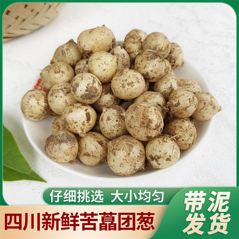 新鲜苦藠薤白小蒜小根蒜胡葱团葱腌制凉拌采摘泡制一斤包邮